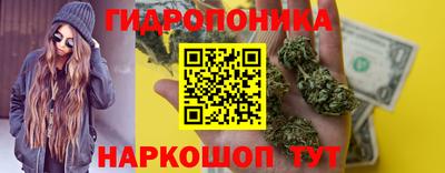 СК Мариинск