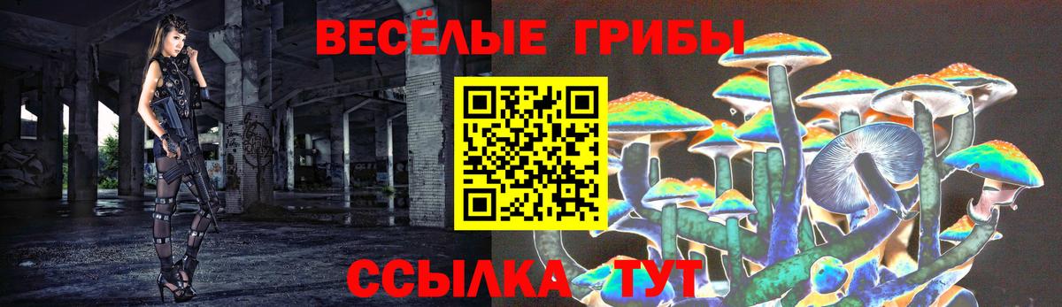 Псилоцибиновые грибы Cubensis  Псилоцибиновые грибы GOLDEN TEACHER  Сызрань  Вход с VPN 
